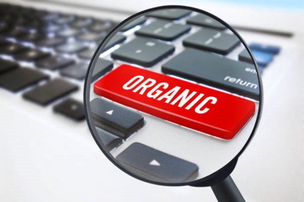 Organic seo services; the word organic on a computer keyboard.